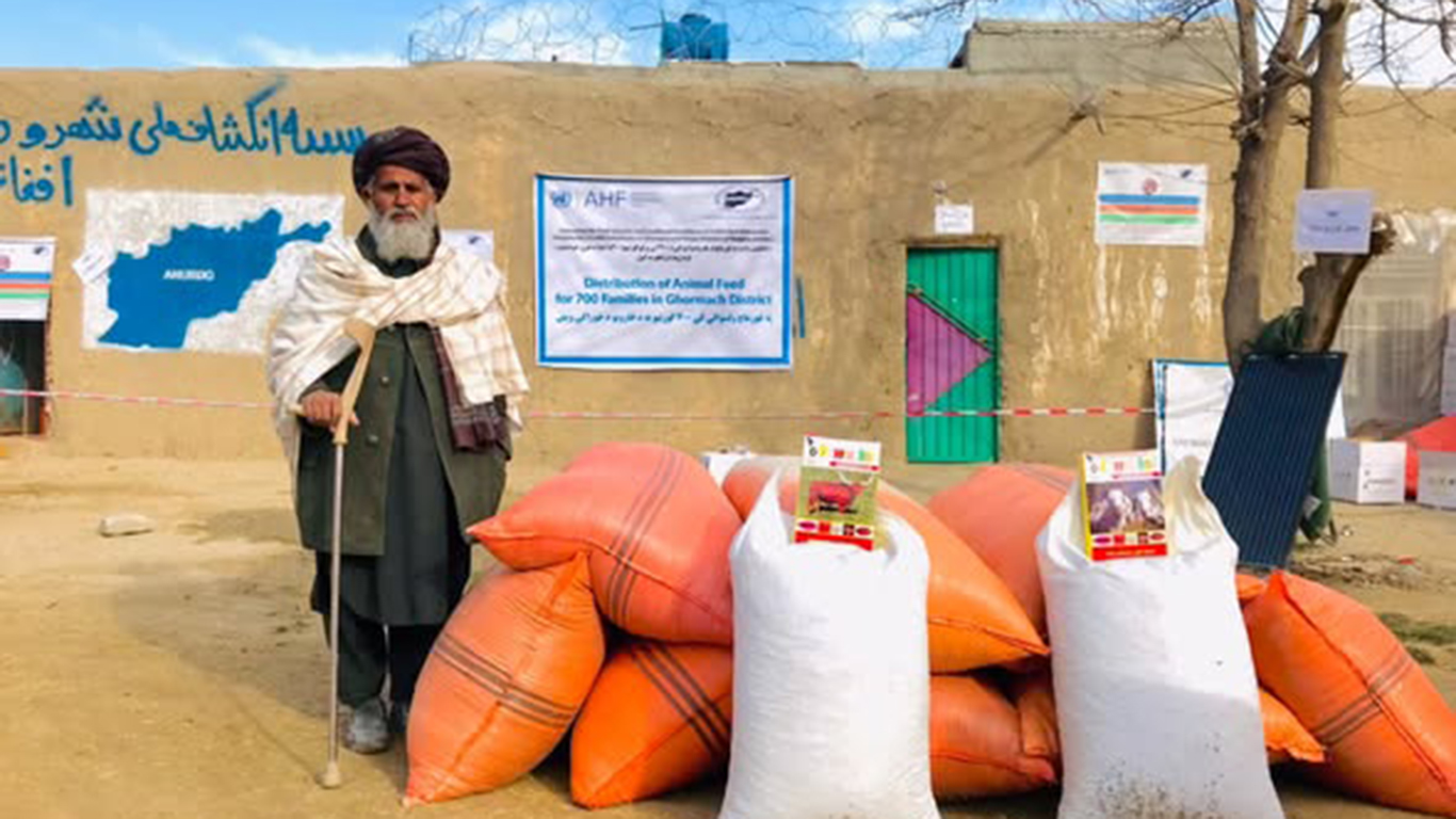 Strengthening Livelihoods for 700 Families with Livestock Support